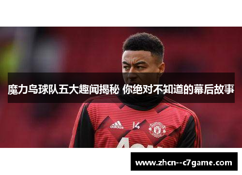 魔力鸟球队五大趣闻揭秘 你绝对不知道的幕后故事